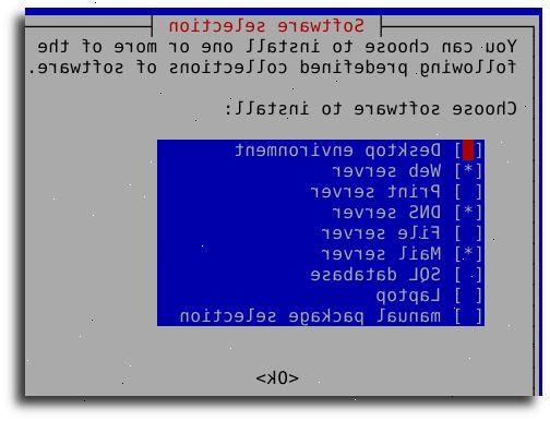 Hvordan du installerer programvare på debian linux. Åpne et root shell / terminal.