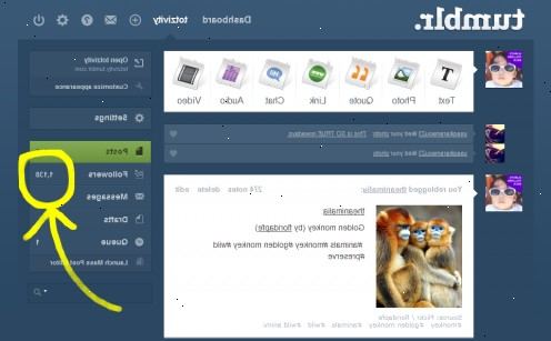 Hvordan få flere tilhengere på tumblr. Reblog og liker innleggene.